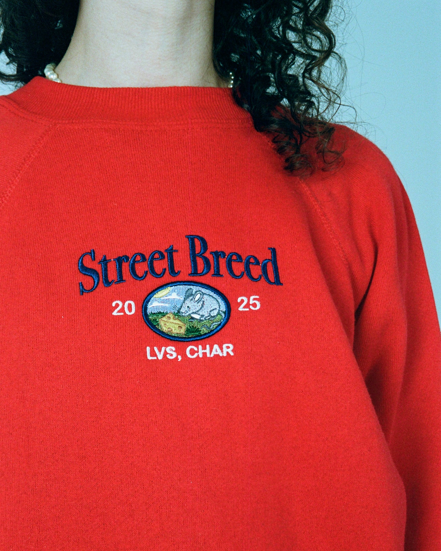 Світшот "Street Breed" *недолік