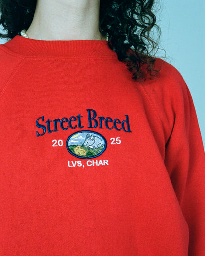 Світшот "Street Breed" *недолік