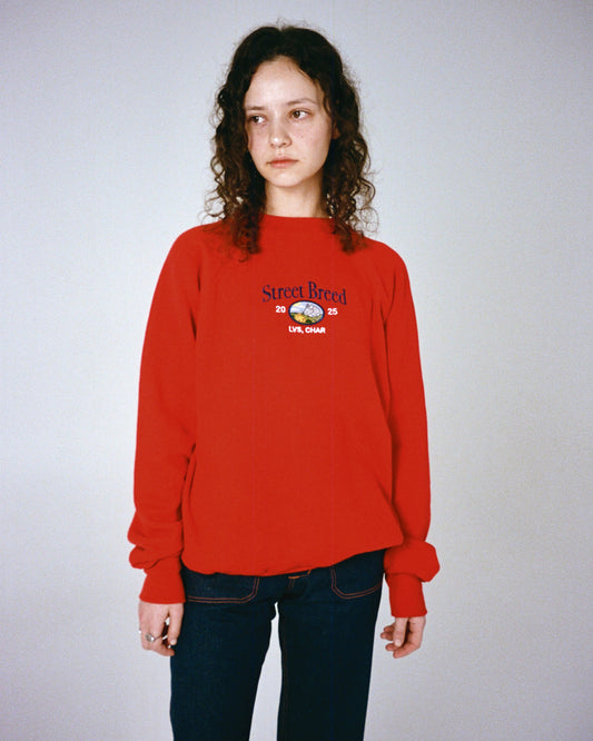 Світшот "Street Breed" *недолік