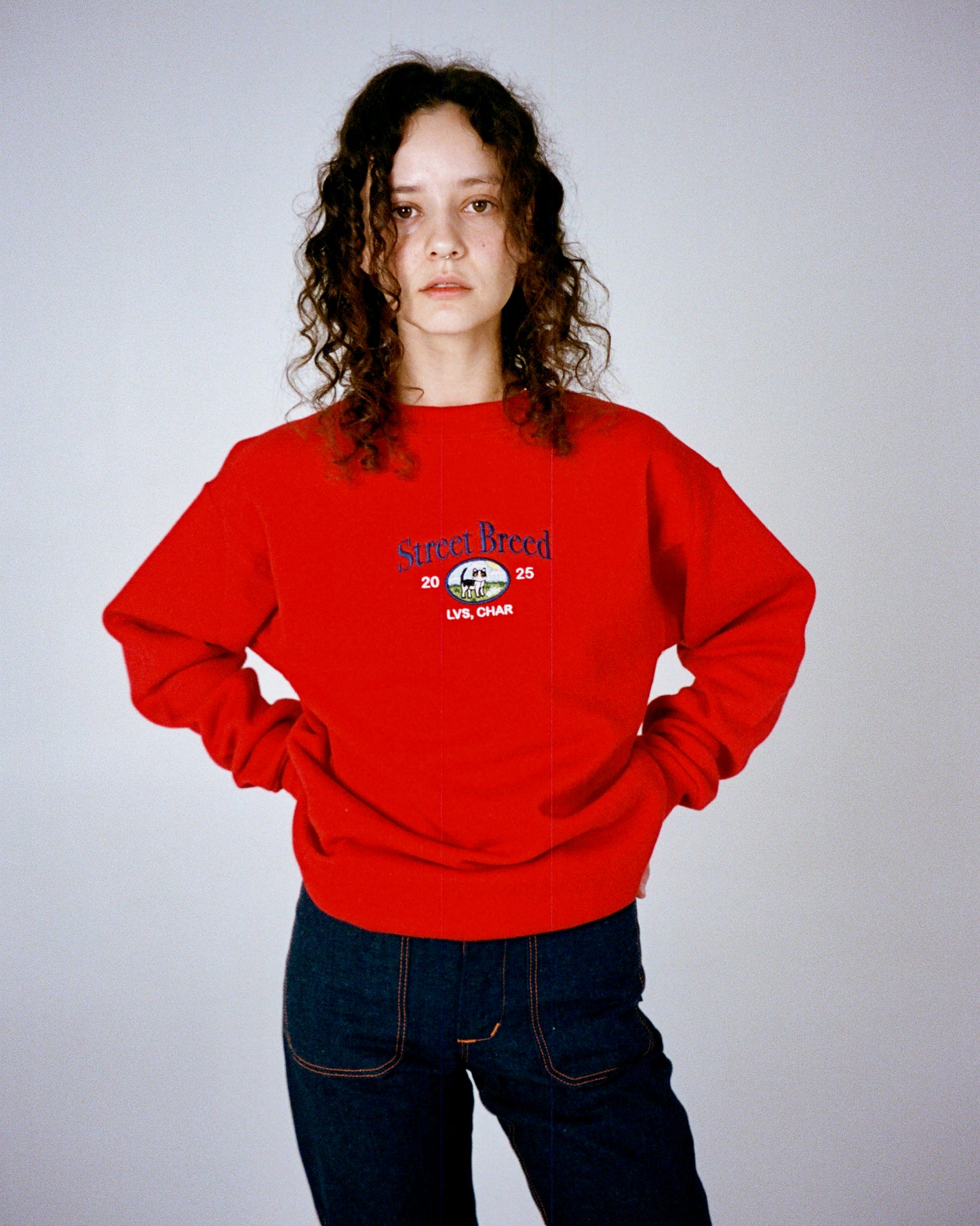 Світшот "Street Breed"