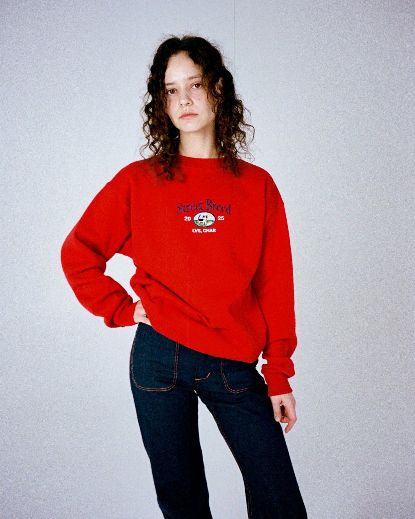 Світшот "Street Breed"